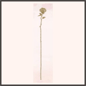 金薔薇の杖