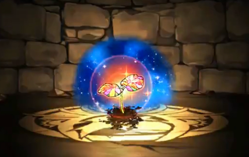 ハイビスカスの星萌芽