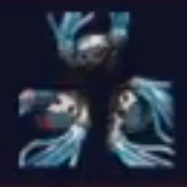 バイオコンダクター