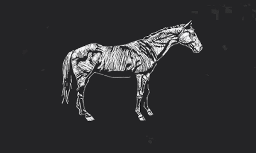 ケンタッキーサドル