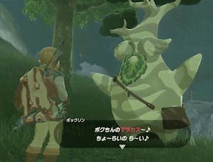 ゼルダBotW＿大事なマラカスクリア
