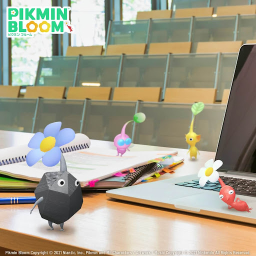 カレッジワッペン