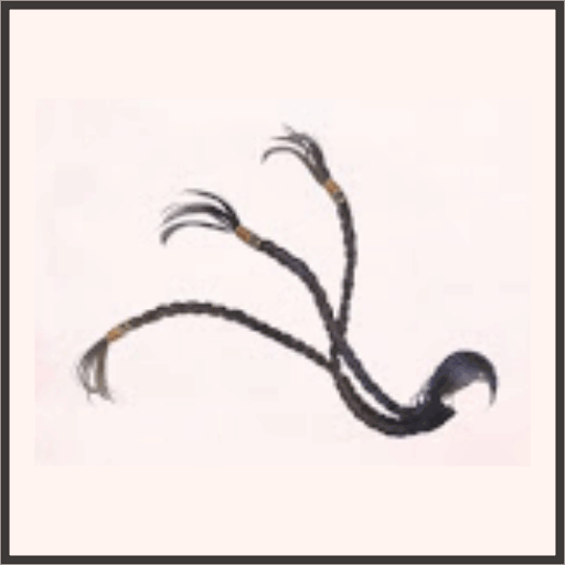 世界を燃やす火