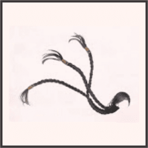 世界を燃やす火