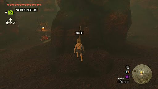 プリンセス③太い棒