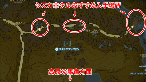 大妖精シーザ_シズカホタル