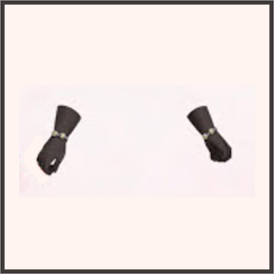 エレナの挑戦（碧）