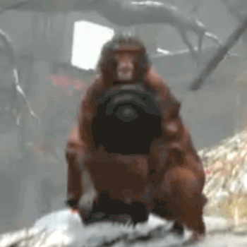 SEKIRO_見る猿、聞く猿、言う猿、_言う猿