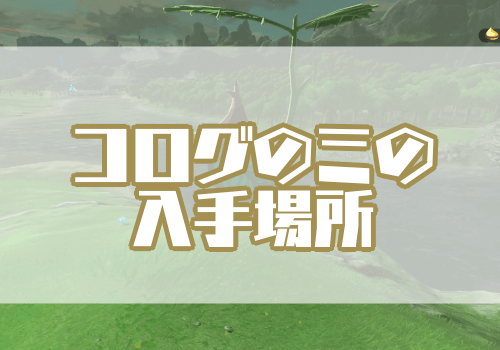 ゼルダBotW_コログのミ