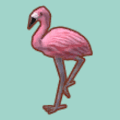 めすのフラミンゴ