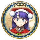 fgo-サーヴァントコイン