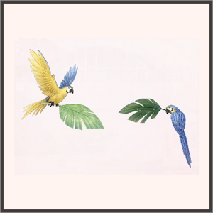 青と黄のオウム