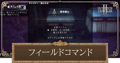 フィールドコマンドの効果