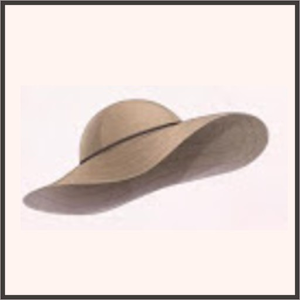 つば広ハット（茶）