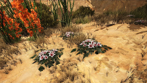 キャニオン_目次