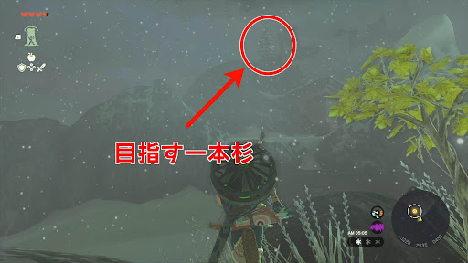 チューリ_⑤一本杉