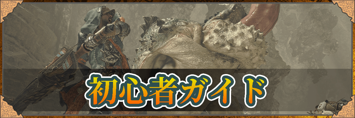 初心者ガイド