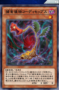 捕食植物コーディセップス