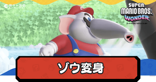 ゾウ変身の特徴