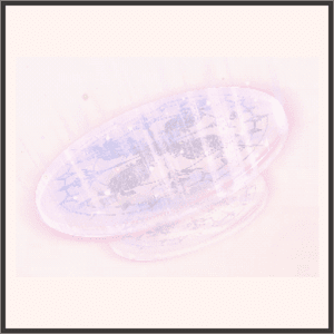 スーパーステージ