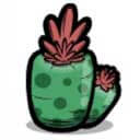 スナックサボテン