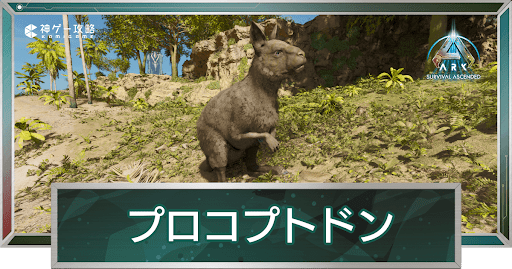 プロコプトドン