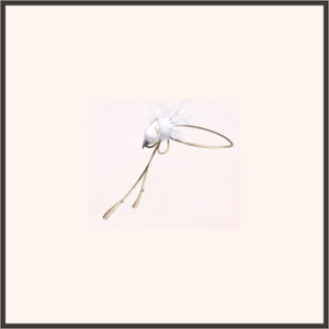 SR-美しき面差し