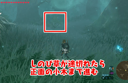 ゼルダBotW_トッチーより先回りして進む04