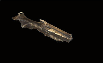 コルム＝ダオラ