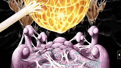 エッグとの死闘