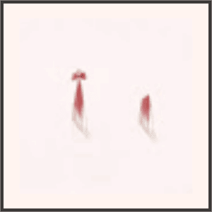 コッコの耳飾り