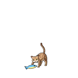 ジンジャーキャット・猫