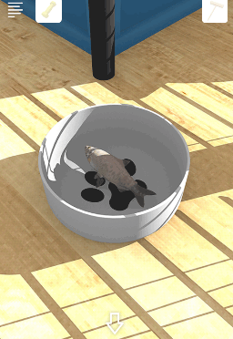 Schoolしょんぼりチャーリーと不思議な教室_魚を置く