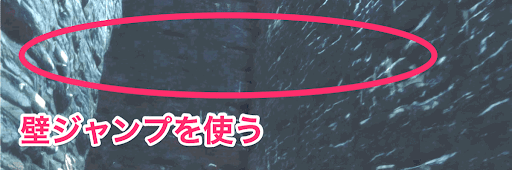 SEKIRO_数珠玉_葦名の底「毒だまり」4