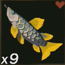 ムカシアロワナ