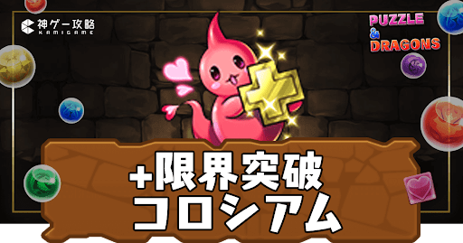 パズドラ＿プラス限界突破(+限界突破)コロシアム