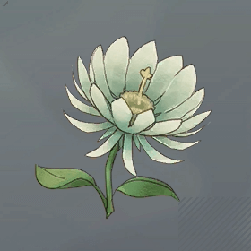 ドンケルハイト