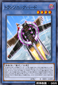 トランソニックバード