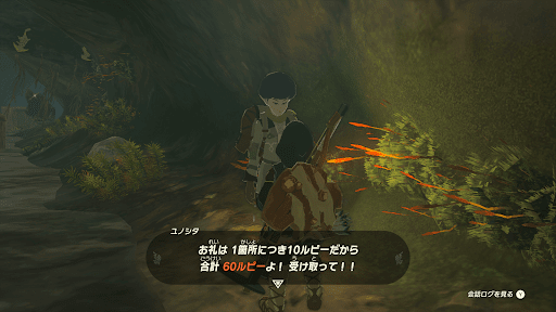 ティアキン_井戸