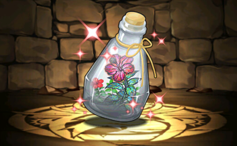 ハイビスカスのハーバリウム