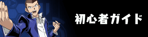 初心者ガイド