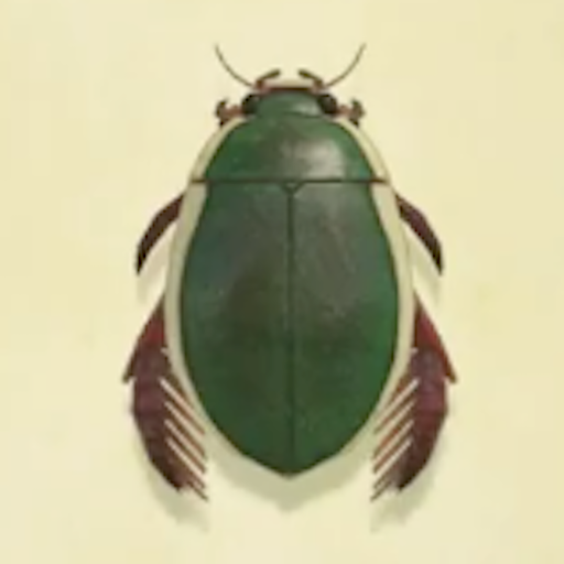 ゲンゴロウの値段と捕まえるコツ