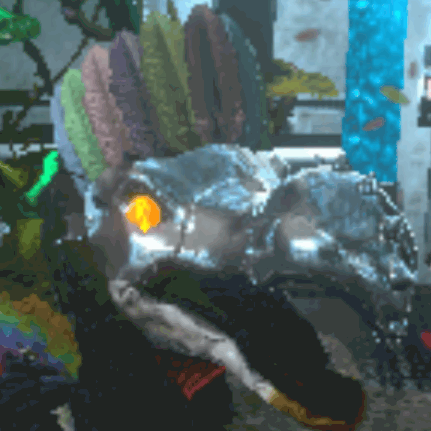 クイーンドードー