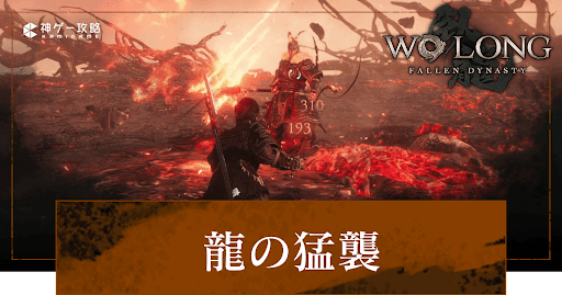 その他「龍の猛襲」