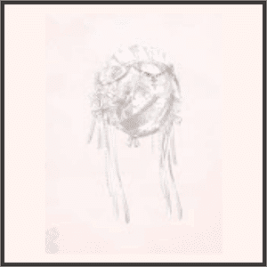 埋もれた花言葉