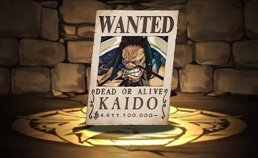 カイドウの手配書