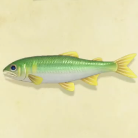 アユの値段と捕まえるコツ