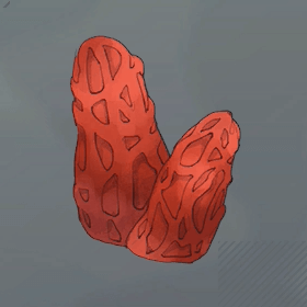 ゲキヤバイタケ