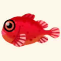 あかいフウセンウオ