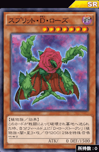 スプリット・D・ローズ